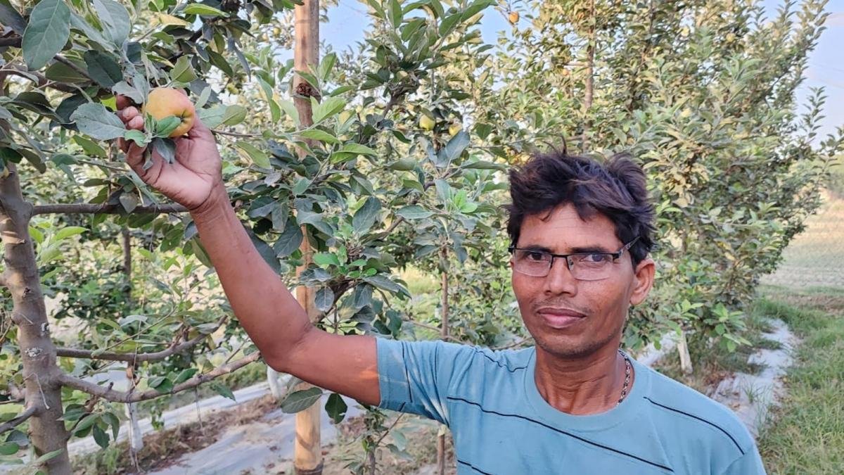 Agriculture-success-story-young-farmer-ritesh-kumar-dragon-fruit-cultivation