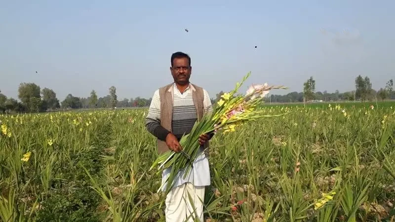 Barabanki farmer earns millions from vegetable farming at low cost