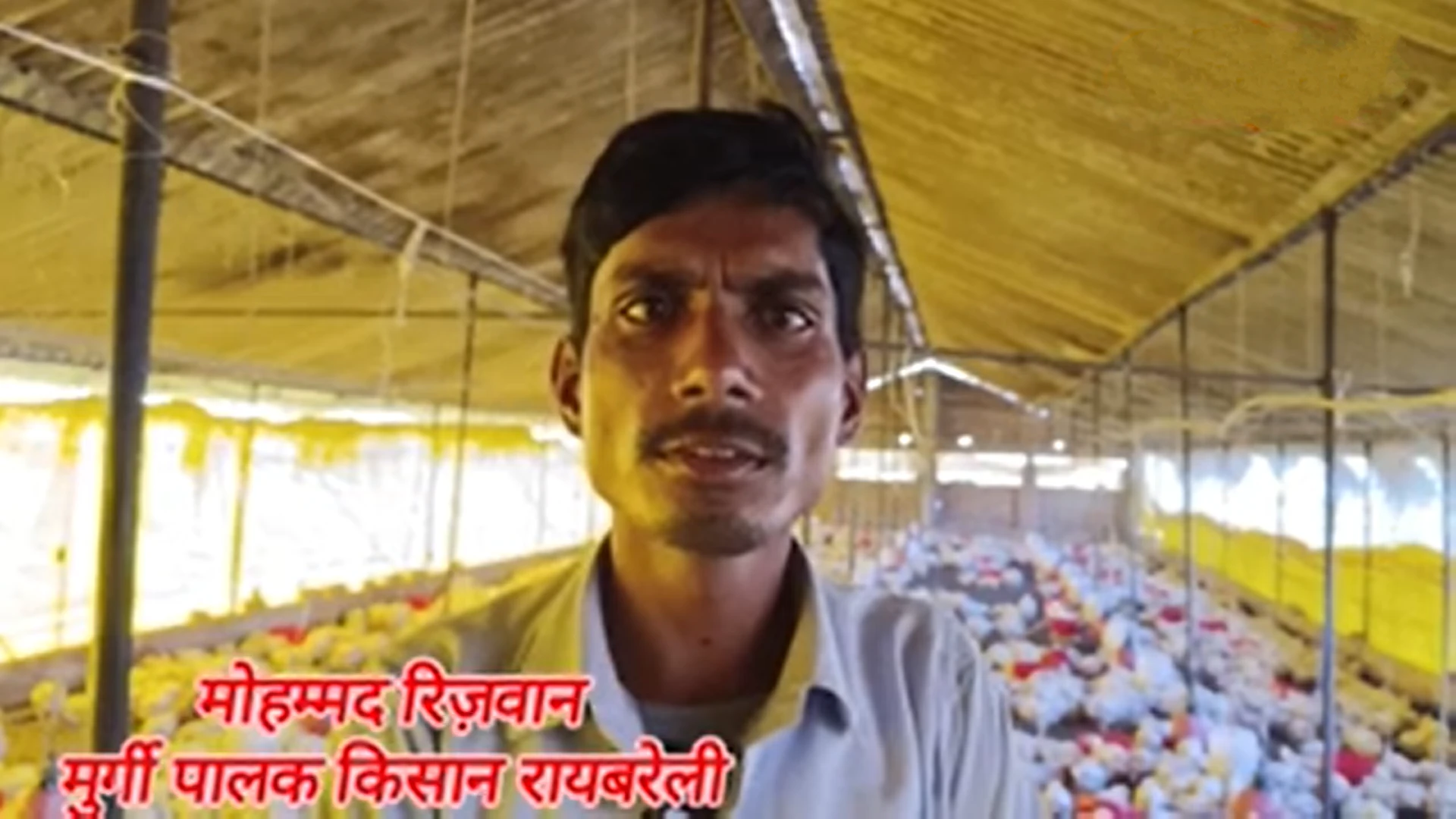 Rae-bareli-young-man-started-poultry-farming-today-he-is-earning-millions-sitting-at-home